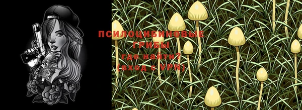 шишки Сафоново