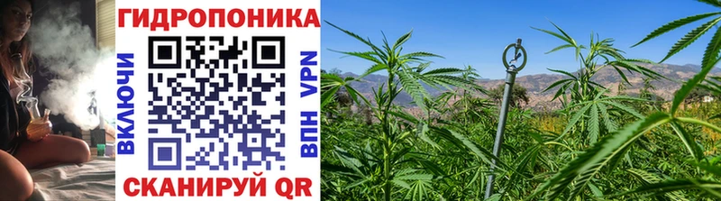 МАРИХУАНА ГИДРОПОН Томилино